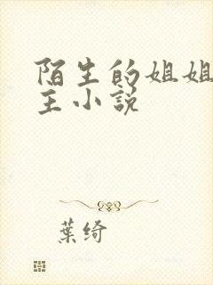 陌生的姐姐双女主小说