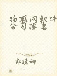 物联网软件开发公司排名