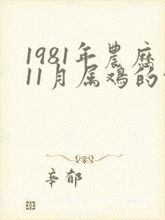 1981年农历11月属鸡的命运封面