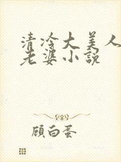 清冷大美人是我老婆小说