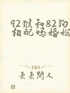 92猴和82狗相配吗婚姻