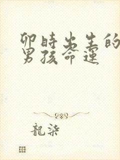 卯时出生的属猴男孩命运封面