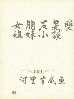 女朋友是双胞胎姐妹小说