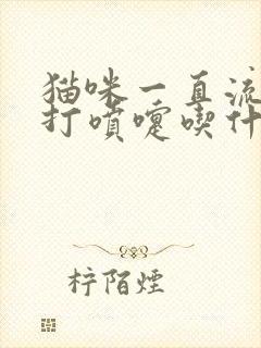 猫咪一直流鼻涕打喷嚏吃什么药