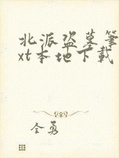 北派盗墓笔记txt本地下载