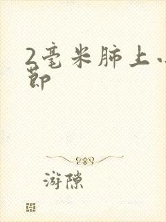 2毫米肺上小结节