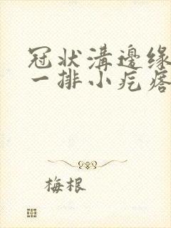 冠状沟边缘长色一排小疙瘩