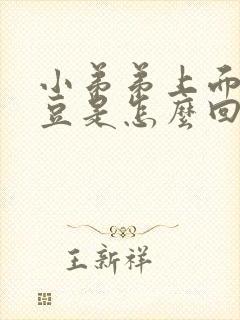 小弟弟上面长豆豆是怎么回事