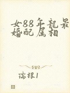 女88年龙最佳婚配属相