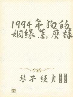1994年狗的姻缘怎么样
