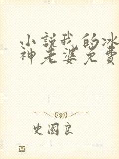 小说我的冰山女神老婆免费阅读