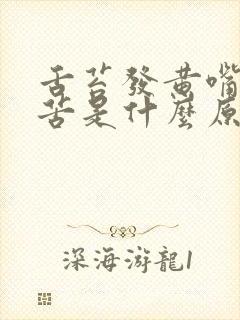 舌苔发黄嘴里发苦是什么原因