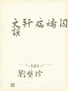 文轩病娇囚禁小说