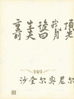 重生后我顶替了前夫白月光小说网封面