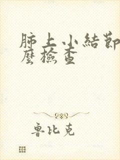 肺上小结节做什么检查