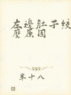 左边肚子绞痛什么原因封面