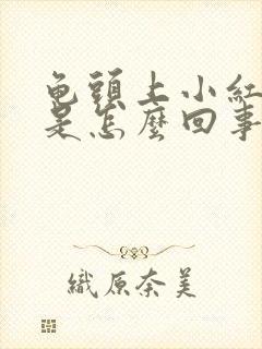 龟头上小红疙瘩是怎么回事