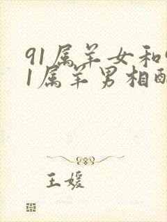 91属羊女和91属羊男相配吗封面