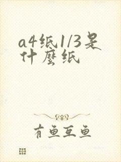 a4纸1/3是什么纸