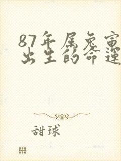 87年属兔寅时出生的命运