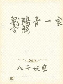 刘阳青一家三口合照封面