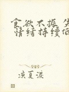 食欲不振 失眠 情绪持续低落恶心