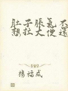 肚子胀气不舒服想拉大便还拉不出来怎么办封面