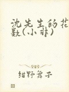 沈先生的花式调数(小非)