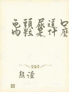 龟头尿道口有小肉粒是什么