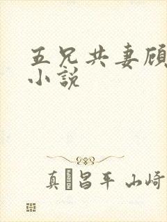 五兄共妻顾心儿小说