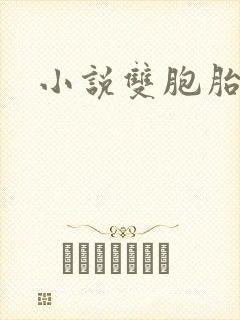 小说双胞胎姐妹