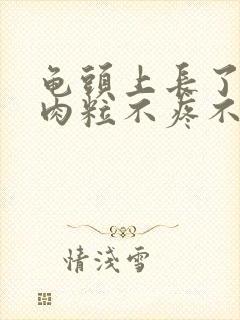 龟头上长了个小肉粒不疼不痒