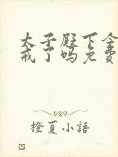 太子殿下今天破戒了吗免费阅读封面