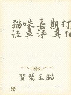 猫咪长期打喷嚏流鼻涕 其他都成正常封面