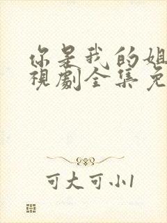 你是我的姐妹电视剧全集免费观看