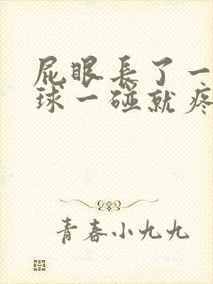 屁眼长了一个肉球一碰就疼