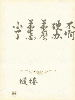 小弟弟硬不起来了怎么办啊