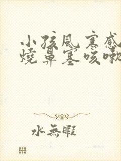 小孩风寒感冒发烧鼻塞咳嗽吃什么药