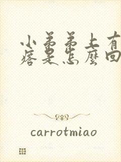 小弟弟上有小疙瘩是怎么回事