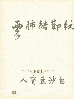 两肺结节纹理增多