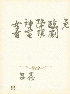 女神降临免费观看电视剧