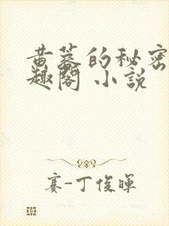 黄蓉的秘密 笔趣阁 小说