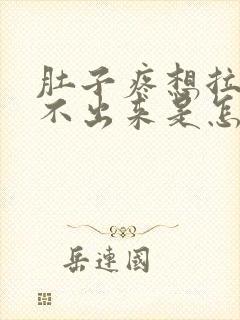 肚子疼想拉屎拉不出来是怎么回事