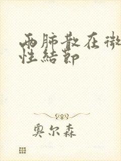 两肺散在微小实性结节