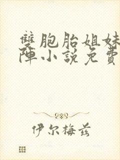 双胞胎姐妹齐上阵小说免费阅读