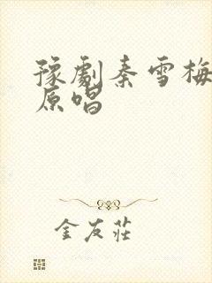 豫剧秦雪梅吊孝原唱