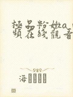 极品粉嫩aⅴ视频在线观看封面