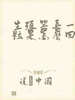 生殖器长一个肉粒是怎么回事