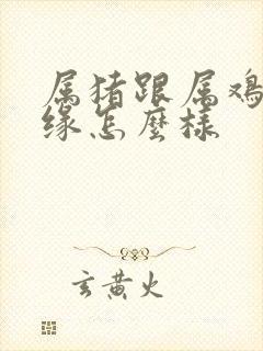 属猪跟属鸡的姻缘怎么样