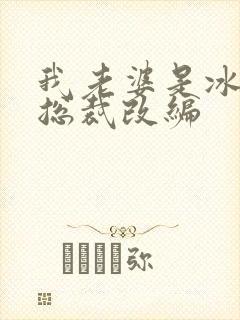 我老婆是冰山女总裁改编